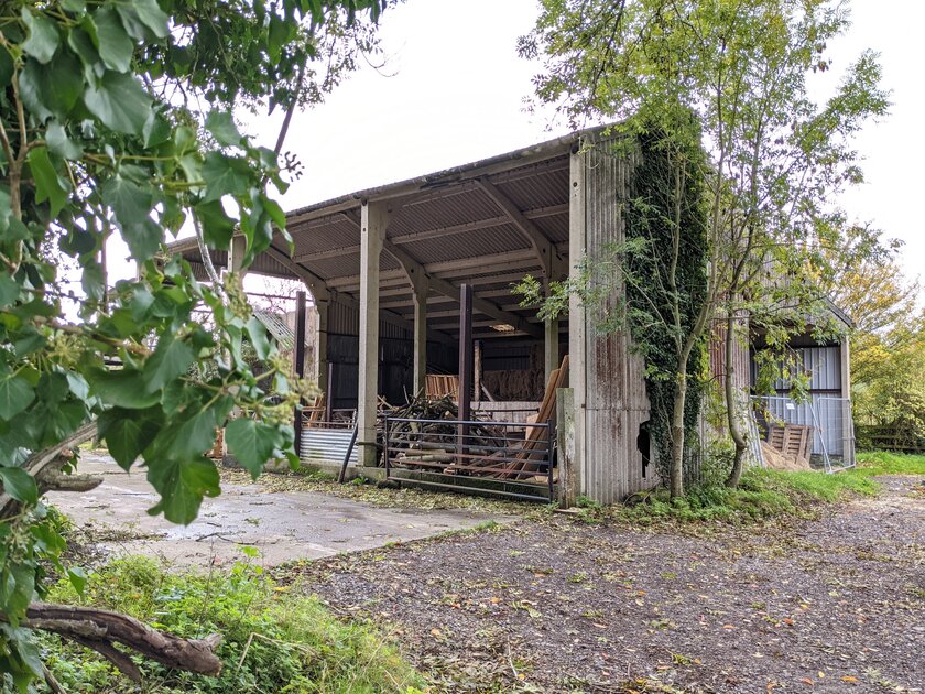 Эволюция алгоритмов камеры от Google: как отличаются снимки на Pixel 3–5 с одинаковой матрицей