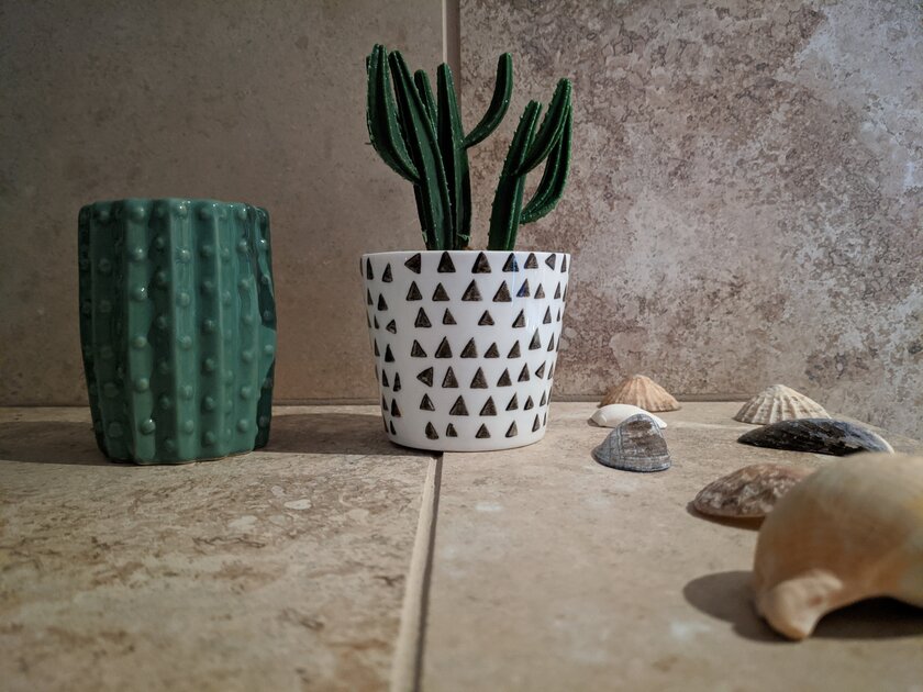 Эволюция алгоритмов камеры от Google: как отличаются снимки на Pixel 3–5 с одинаковой матрицей