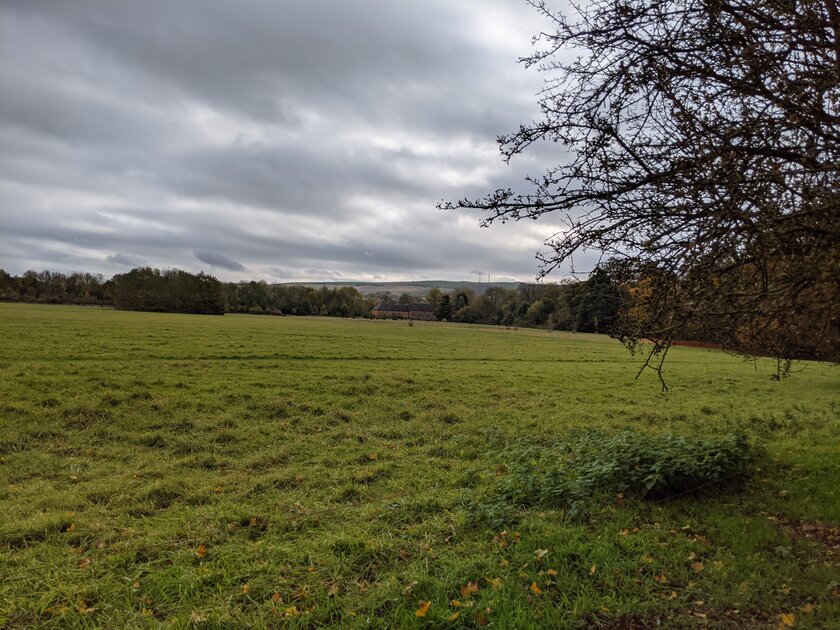 Эволюция алгоритмов камеры от Google: как отличаются снимки на Pixel 3–5 с одинаковой матрицей