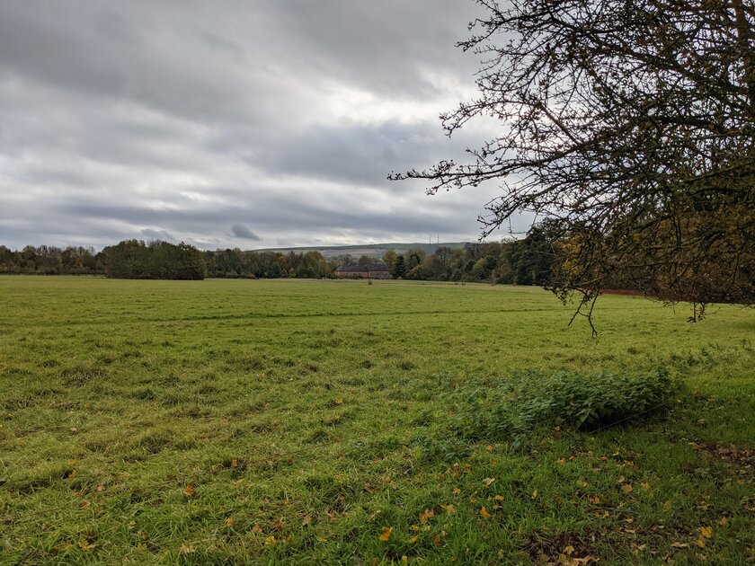 Эволюция алгоритмов камеры от Google: как отличаются снимки на Pixel 3–5 с одинаковой матрицей