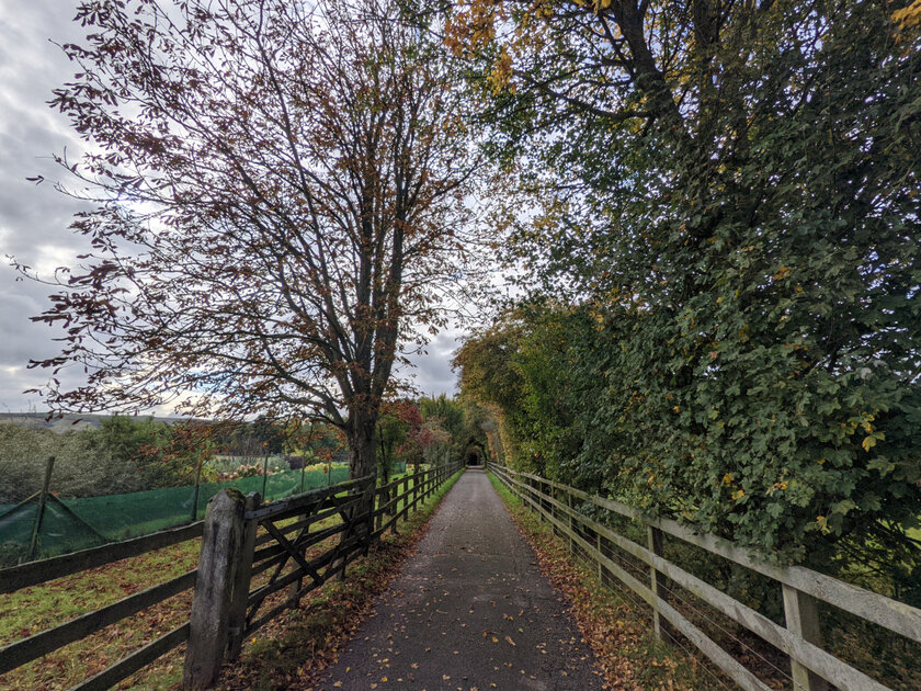 Эволюция алгоритмов камеры от Google: как отличаются снимки на Pixel 3–5 с одинаковой матрицей