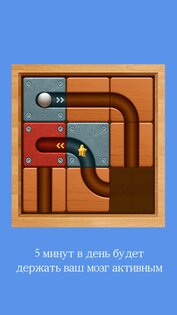 Super Brain Plus 3.1.4. Скриншот 1