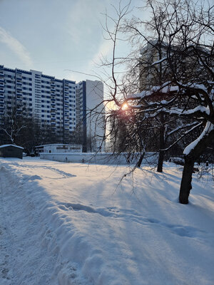 Главный флагман на Android. Обзор ультимативного Galaxy S21 Ultra