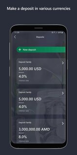 ACBA Digital 4.1.6. Скриншот 7