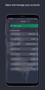 ACBA Digital 4.1.6. Скриншот 8