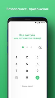 MegaPay.KG 5.0.3. Скриншот 4