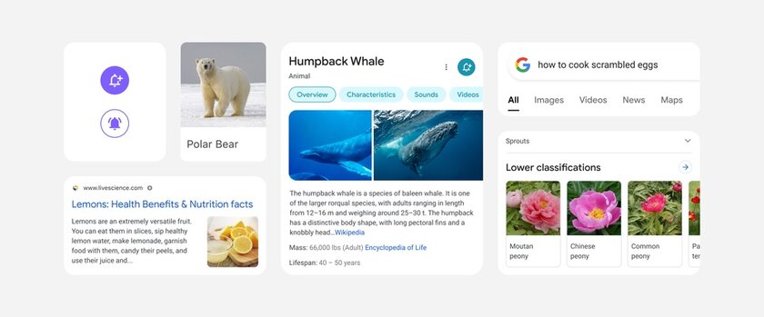 Google готовит редизайн поиска на смартфонах: красивее, но меньше информации на одном экране