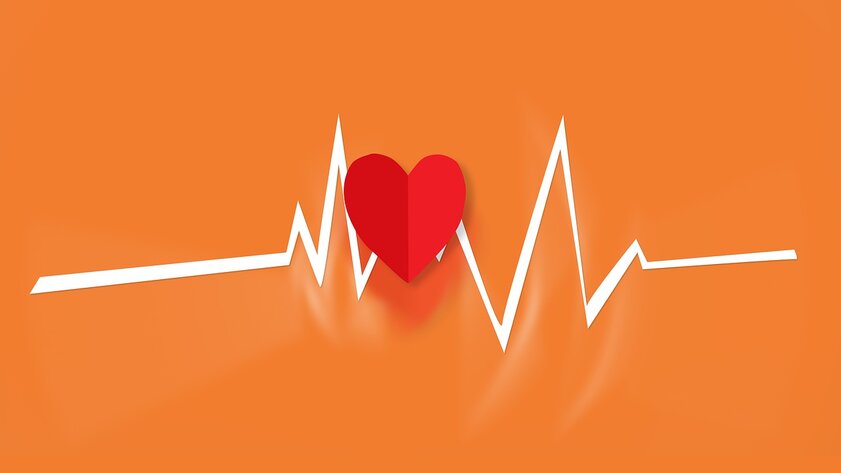 Google Fit научился измерять дыхание и пульс с помощью камеры смартфона