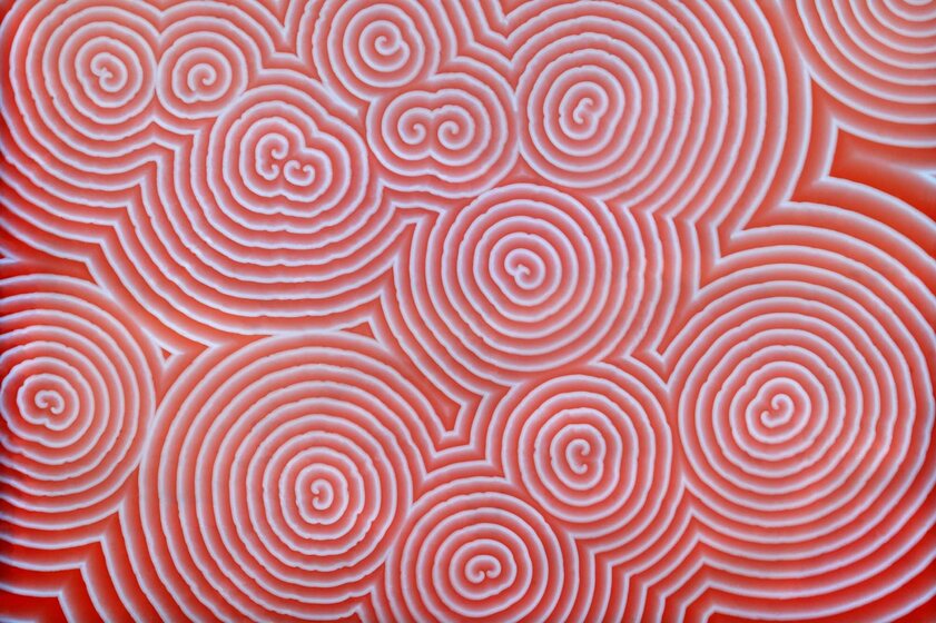 Наука бывает красивой: названы лучшие фотографии 2020 года от учёных