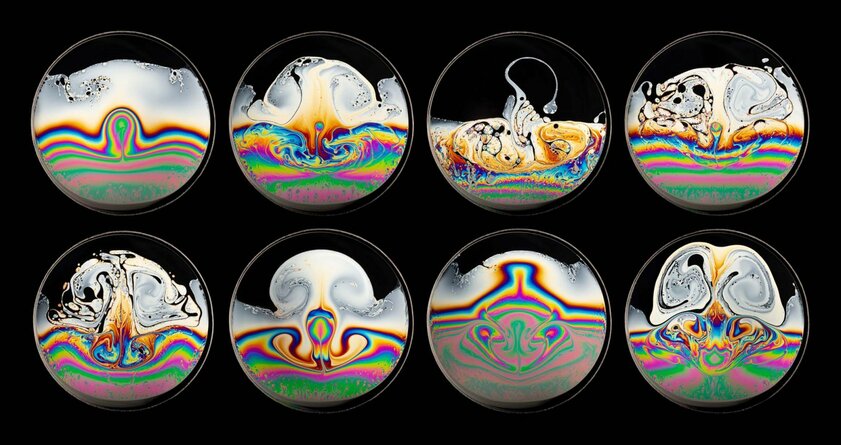 Наука бывает красивой: названы лучшие фотографии 2020 года от учёных