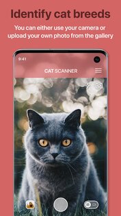 Cat Scanner 19.0.0. Скриншот 1