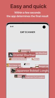 Cat Scanner 19.0.0. Скриншот 3