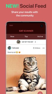 Cat Scanner 19.0.0. Скриншот 4