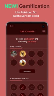 Cat Scanner 19.0.0. Скриншот 5