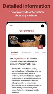 Cat Scanner 19.0.0. Скриншот 8
