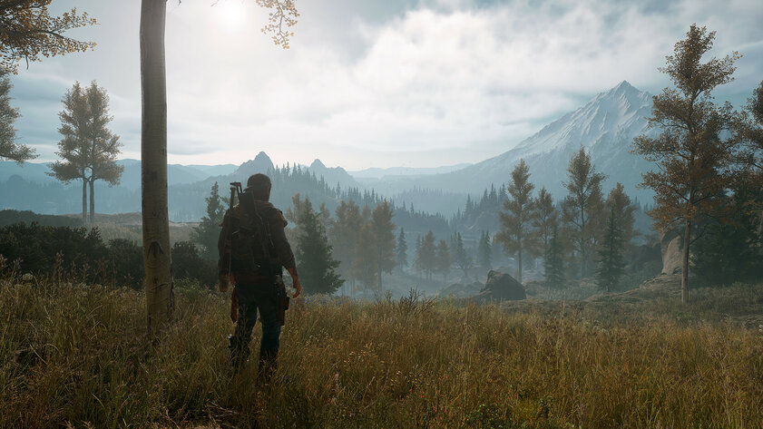 Sony добавила Days Gone в Steam и раскрыла системные требования