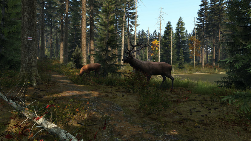 Лучшие игры для PS4 и PS5 с поддержкой клавиатуры и мышки