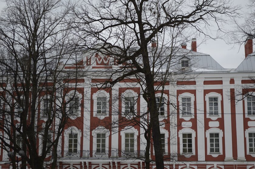 Тестируем сжатие в Google Фото: как «высокое качество» портит снимки
