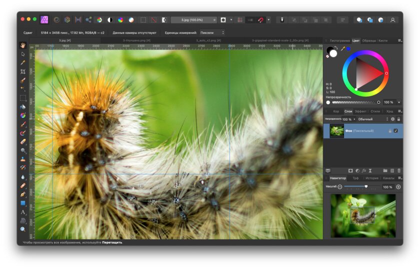 Новая утилита Adobe увеличивает фото без потерь: тестирую её в сравнении с аналогами