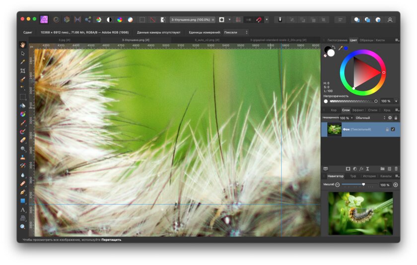 Новая утилита Adobe увеличивает фото без потерь: тестирую её в сравнении с аналогами