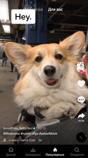 Tmate - Скачать видео из TikTok 1.3.8. Скриншот 6
