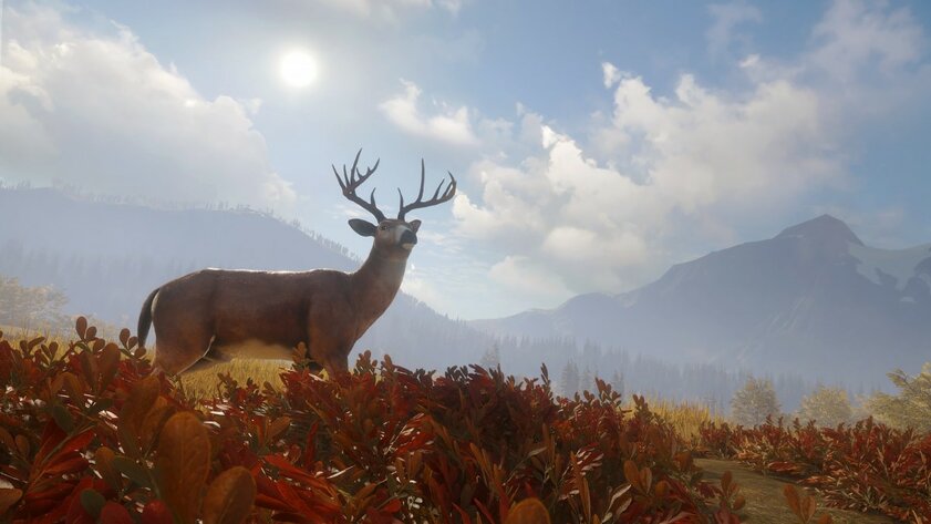 Можно не выходить из дома: 10 игр для PS5 и PS4, которые заменят ваши хобби на карантине