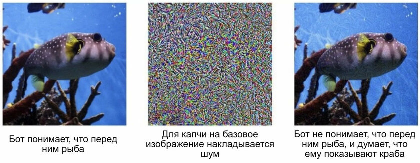 CAPTCHA — это зло или добро? Какие бывают виды и в чем недостатки