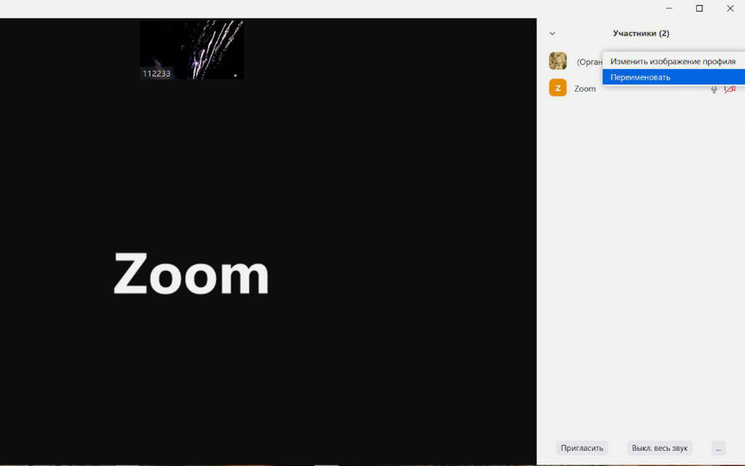 Используем Zoom на 100%: 10 скрытых возможностей, о которых мало кто знает