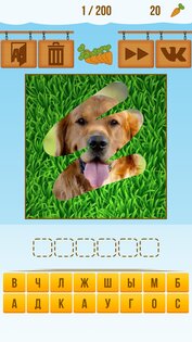 Animal Quiz 9.6. Скриншот 2