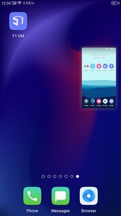 F1 VM 1.3.1.3.07. Скриншот 1