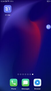 F1 VM 1.3.1.3.07. Скриншот 4