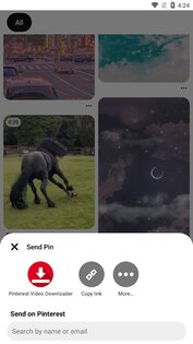 Скачать видео и GIF из Pinterest 2.0. Скриншот 7
