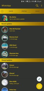 JTWhatsApp 9.95. Скриншот 1