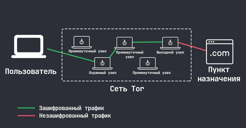Бесплатная утилита OnionShare создаёт на базе Tor файлообменник и мессенджер. Как ей пользоваться
