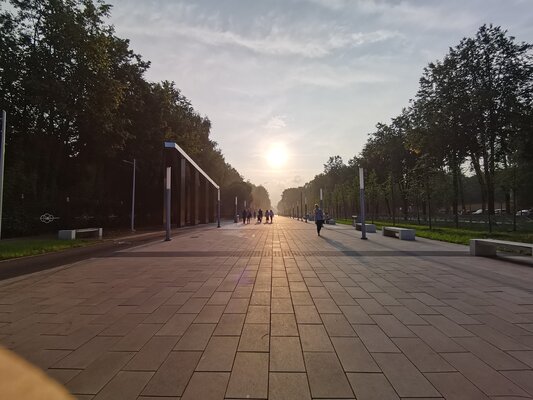 Смартфоны Huawei уже не те? Обзор Nova 8, который удивляет во всех смыслах — Камера. 41