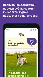Petset: дрессировка собак и воспитание кошек 1.17.1. Скриншот 1