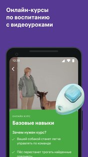 Petset: дрессировка собак и воспитание кошек 1.17.1. Скриншот 2