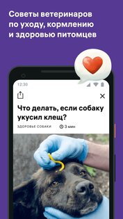 Petset: дрессировка собак и воспитание кошек 1.17.1. Скриншот 3
