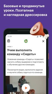 Petset: дрессировка собак и воспитание кошек 1.17.1. Скриншот 4