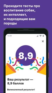 Petset: дрессировка собак и воспитание кошек 1.17.1. Скриншот 5