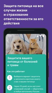 Petset: дрессировка собак и воспитание кошек 1.17.1. Скриншот 6