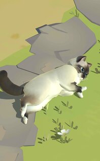 Кошачий курорт – релакс-игра для любителей кошек 1.74.0. Скриншот 15