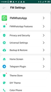 FM WhatsApp* 18.90.1. Скриншот 3