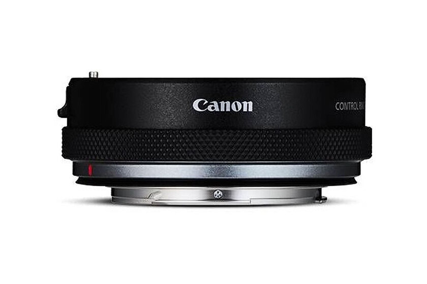 Беззеркалка уже не экзотика. Снимал несколько недель на Canon EOS R — Беззеркалки победят?. 7