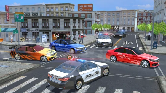 CarSim M5&C63 1.24. Скриншот 1