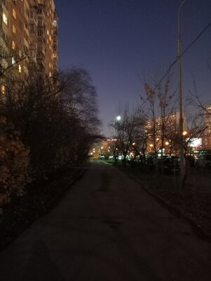 Недорогой монстр с 30 часами работы без подзарядки. Обзор Narzo 50A — Камера. 9