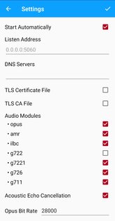 baresip 66.1.4. Скриншот 2