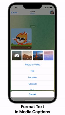 Telegram переборщил? Теперь нельзя скриншотить и пересылать посты, если автор против