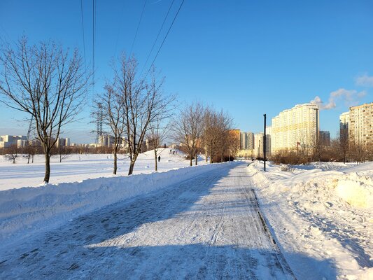 Во всех смыслах подросший флагман для фанатов. Обзор Samsung Galaxy S21 FE — Камера. 6