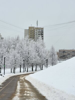 Во всех смыслах подросший флагман для фанатов. Обзор Samsung Galaxy S21 FE — Камера. 15